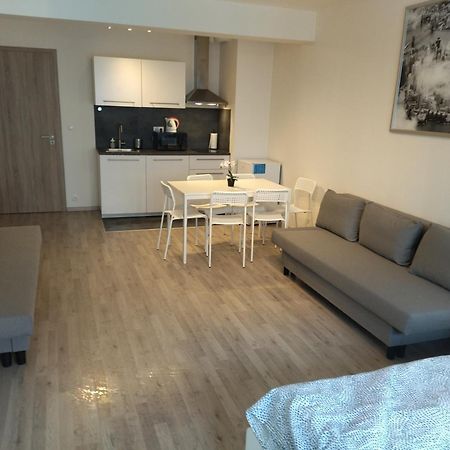 Brand New Studio Apartment #24 In Elite Residence With Free Secure Parking In The Center Prag Exteriör bild
